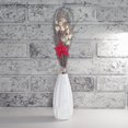 thumbnail image 3 of Christmas Dried Holiday Bundle Poinsettia, 3 of 3