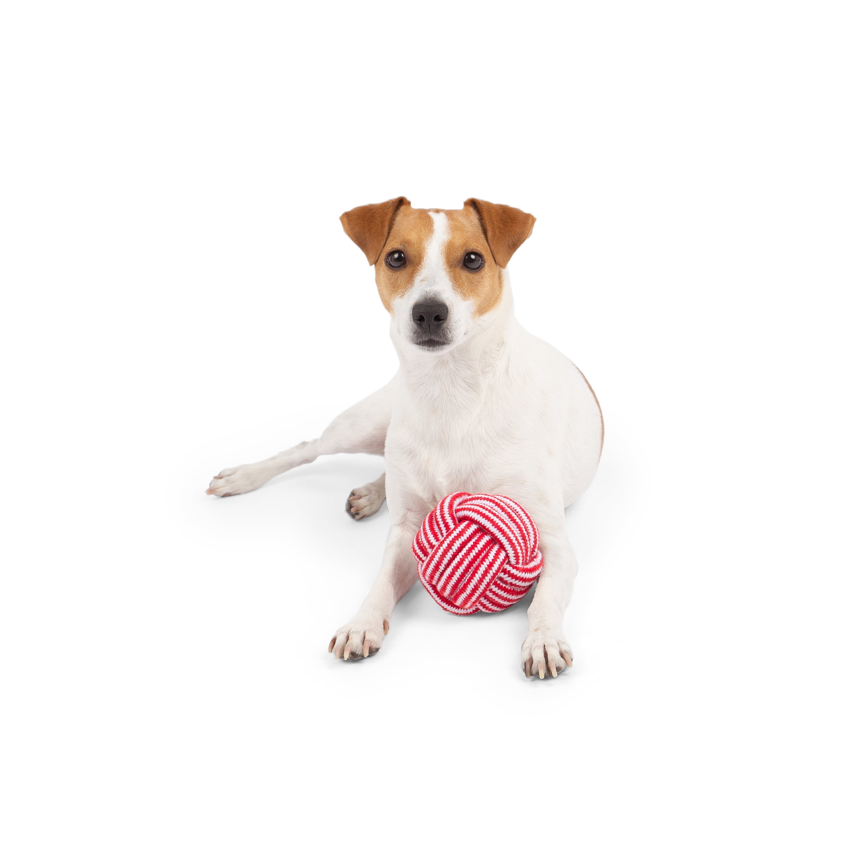 One Paw, Rope Ball, Dog Toy, Durable Rope Chewing Play