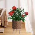 thumbnail image 2 of DOLITY Plant Basket with Legs Rattan Basket Decorative Simple Basket Planter Flower Pot Cylinder Dark Brown, 2 of 9
