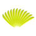 thumbnail image 1 of S SERENABLE 12pcs 3inch Turkey Feathers Fletchings Vanes Fluores Yellow, 1 of 1