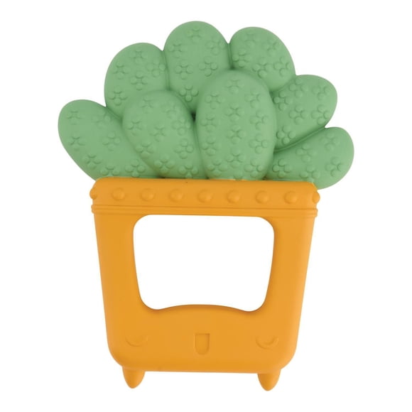 Infantino Squeeze & Teethe™ Soothing Succulent