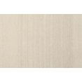 thumbnail image 1 of Ahgly Company Tapis d'Intérieur Rectangle Contemporain Désert Sable Beige, 2' x 3', 1 of 6