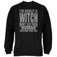 thumbnail image 1 of Halloween Human Witch Costume Mens Sweatshirt, 1 of 1