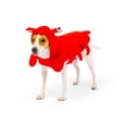 thumbnail image 2 of One Paw, Lobster Dog Costume, Halloween, 2 of 5