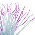 thumbnail image 3 of GROWTH TANK 1 Pc Fluorescent Artificial Sea Anemone Coral Aquarium Tank Landscape, 3 of 8