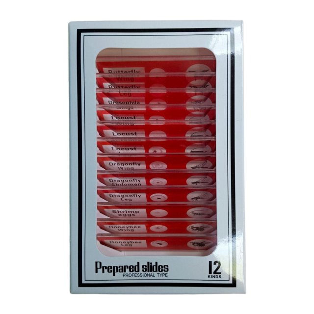 lionlar 12 Pcs Microscope Préparé Éducatif pour Enfants Maison Classe
