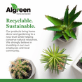 thumbnail image 5 of Algreen 16130 Valencia 12 x 18 Inch Round Taper Recycled Planter Pot, Chocolate, 5 of 5