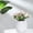 White, variant on Uuiauoio Self Watering Planters 4.13x4.33in Self Watering Pots for Indoor Plants, African Violet Pots, Flowers, Succulents, Herb, House Plants