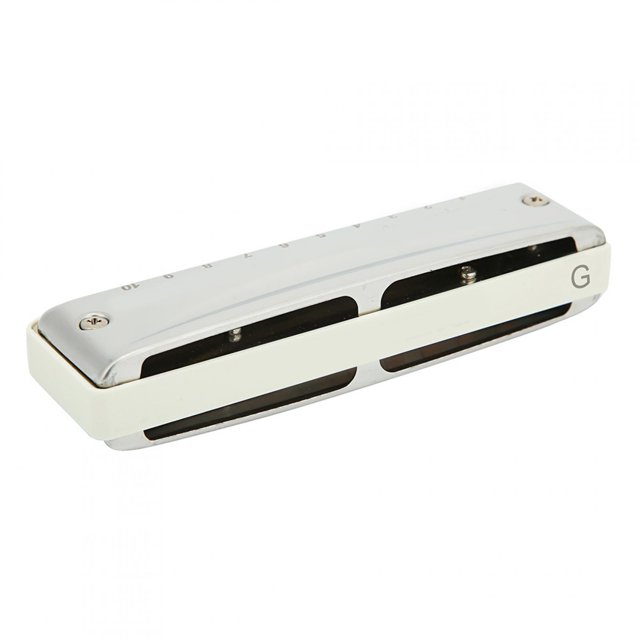 FLAMEEN 10 Holes Mouthorgan, Long Service Life Blues Harmonica, Corrosion‑Resistant Waterproof Strong For Musical Professionals Performance Beginners