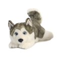 thumbnail image 4 of Aurora Stuffed Animals -Husky Lying 11", 4 of 4