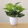 thumbnail image 4 of Artificial Potted Plant Leaf Simulation Leaves Home Office Desktop Greenery Decoration, 4 of 4