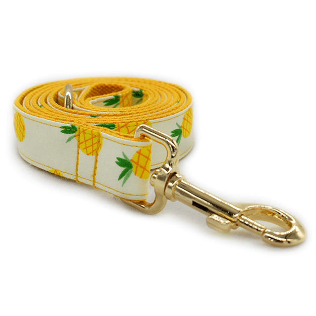 Cat collars, Dog collars, Cat leashes, Dog leashes, Small Dog collars, Medium dog collars,