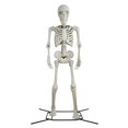 thumbnail image 1 of Squelette articulé de 3 m, couleur os — Décoration d'Halloween par Way to Celebrate, 1 of 7