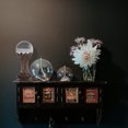 thumbnail image 4 of 1Pack Dark Brown Wood Pedestal Stand for Crystal Balls Round Shape Simple Style Indoor Use, 4 of 8