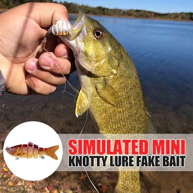 BKER Hameçon de Poisson 3D de Simulation Forme de Poisson Réaliste Fournitures de Pêche pour Lac Rivière pour Amateurs de Pêche Débutants