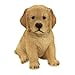 thumbnail image 3 of Border Concepts Nature's Gallery Compagnons de Compagnie (Chiot Golden Retriever), 3 of 4