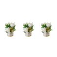 thumbnail image 2 of kurtrusly Artificial Flowers With Vase Add Of Color And Style To Any Room Indoor Pinellia white 3Set, 2 of 6
