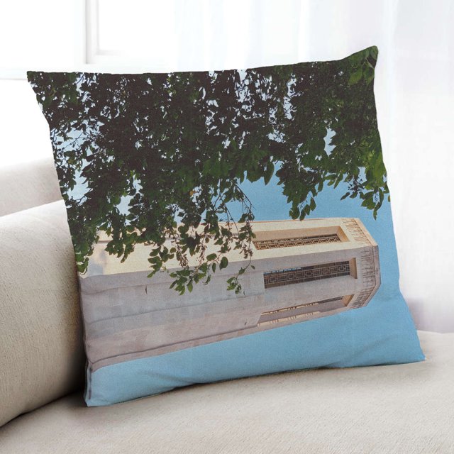Ahgly Company State Nebraska Coussin Décoratif d'Intérieur, 18 Po X 18 Po