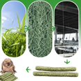 thumbnail image 4 of Jinsinto Rabbit Chew Toys, 30 Sticks Natural Small Animal Hay Sticks Molar Chewing Teeth for Rabbits Lime Hamster Indian Pig Squirrel, 4 of 5