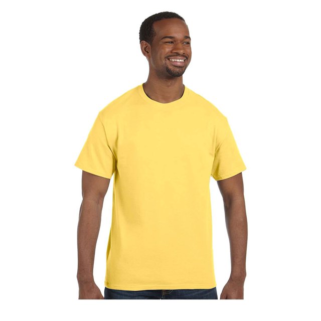 Hanes T-Shirt à Manches Courtes Sans Étiquette, Style 5250
