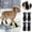 Black1, variant on 4 Piece Outdoor Pet Shoes and Set Breathable Soft -On for Dogs and Cats 4PCS