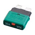 thumbnail image 1 of 1 Pce Fusible de Lame de Disjoncteur 12V 24V Réinitialisable 5-30A Marine Réinitialisation Automatique Plus Besoin de Remplacer le Fusible Soufflé 2024 Chaud 30A, 1 of 9
