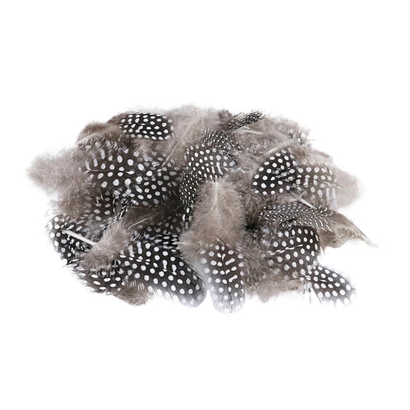 Elegant Crafting Feathers Set for Jewelry Making and Home Décor 50 Natural Feathers for Projects