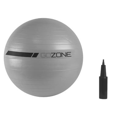 GoZone Exercise Ball