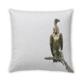 thumbnail image 2 of Ahgly Company Animals Vulture Coussin Décoratif d'Intérieur, 18 Po X 18 Po, 2 of 6