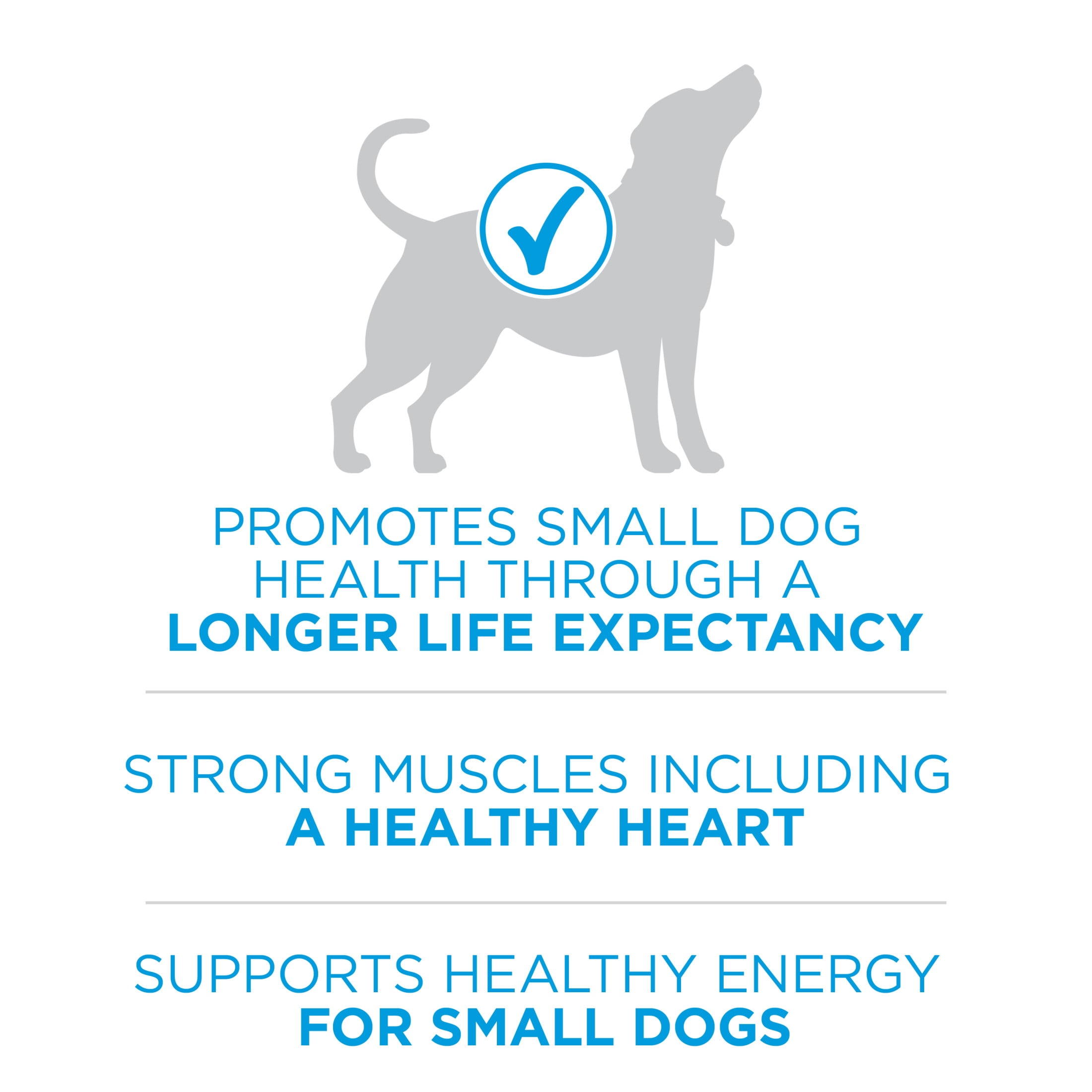 Purina ONE SmartBlend Formule pour Petites Races Boeuf, Nourriture Sèche pour Chiens 1.81kg