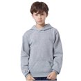 thumbnail image 1 of LSLJS Tout-Petits Enfants Garçons Filles Chandail à Capuchon Décontracté Chandail Mode Mignon Couleur à Manches Longues Survêtements de Sport Décontractés, Chandail à Capuchon pour Tout-Petit ( Gris, 2-3 Ans ), 1 of 4