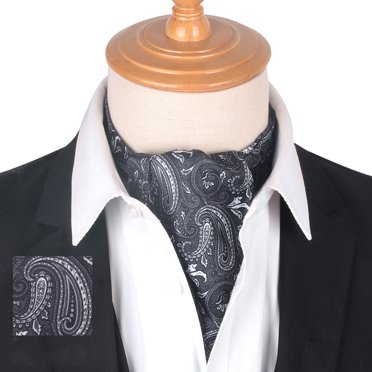 Cravate pour Homme Mode Soyeuse Vintage Affaires Paisley Ascot Foulard Paisley Cravate