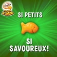 thumbnail image 4 of Craquelins Pepperidge FarmMD GoldfishMD Explosion de saveursMD Explosion de pizza (180g), 4 of 6