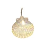 10-Count Battery Operated Warm White LED Iridescent Seashell String Lights, by EZ-Illuminations