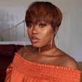 thumbnail image 1 of RKSTN Perruques Cheveux Humains Perruque Synthétique pour Femmes Perruques Lisses pour Femmes Perruque en Cheveux Naturels Perruques avec Chaleur Perruques Sans Colle, 1 of 5