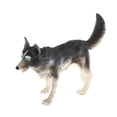 thumbnail image 3 of Simulation Animals Model Figure Kids Educational Science Animal Toy Kids Nature Simulation Toy Decor Husky, 3 of 7