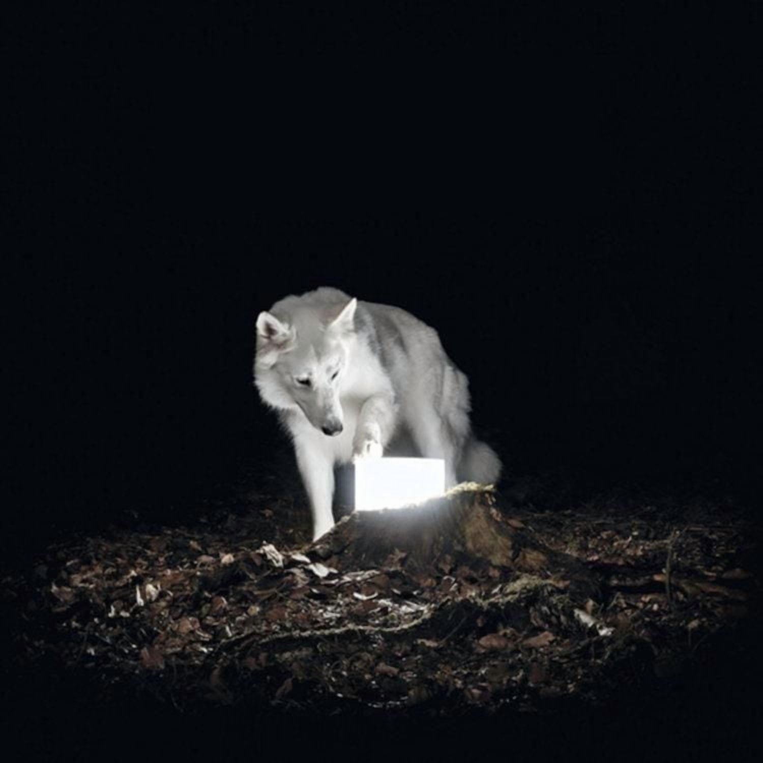 Vanishing Life - Surveillance (Vinyl LP)