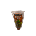 thumbnail image 2 of Van Holten’s Sour Sis Jumbo Pickle In A Pouch, 2 of 5