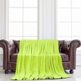thumbnail image 1 of REGALWOVEN 1 Pcs Home Warm Soft Microplush Fleece Solid Throw Blanket Yellow Green 59" x 78", 1 of 10