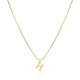 thumbnail image 1 of RXIRUCGD Collier Initial Ajoute une Pièce à Votre Look Quotidien Collier Délicat pour Femmes, 1 of 1