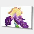 thumbnail image 2 of Blooming Blue Yellow Iris - Floral Canvas Art print, 2 of 3