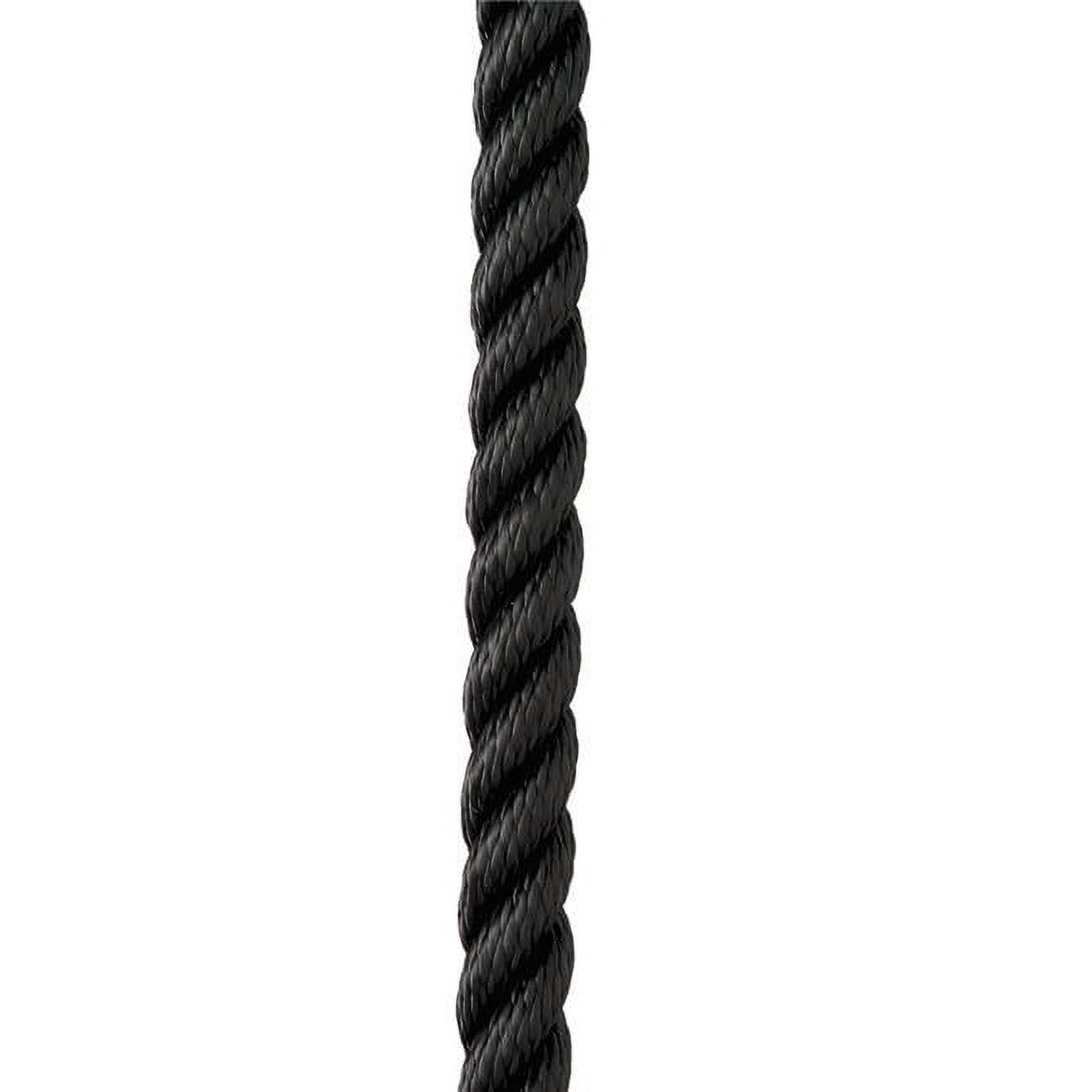 New England Ropes C6054-16-00035 0.5 in. x 35 ft. Premium Nylon 3 Strand Dock Line - Black