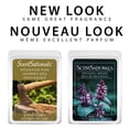 thumbnail image 2 of Cubes de cire parfumée ScentSationals - Bois de patchouli, 2 of 6