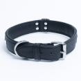 thumbnail image 4 of ROTTERDAM BONES Leather Dog Collar Single- Row Bones, 4 of 4