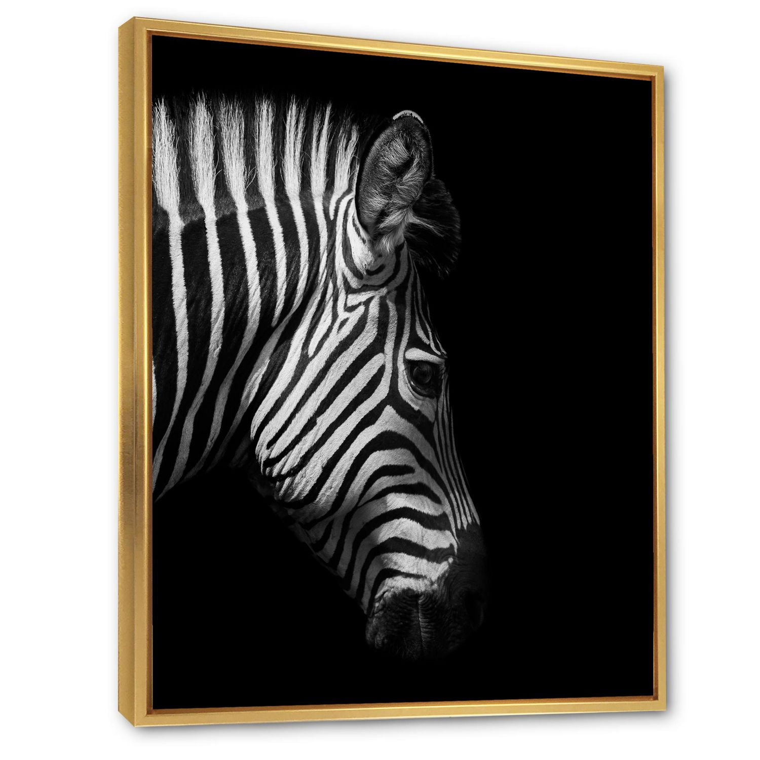 Designart Portrait monochrome de tête de zèbre ART MURAL À CADRE FLOTTÉ