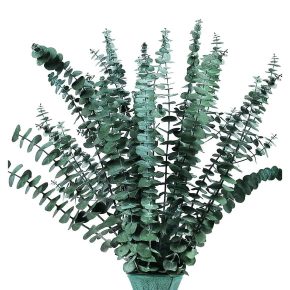16Pcs-Preserved-Dried-Eucalyptus-Branches 17In Fresh Eucalyptus Plant for Shower Real Eucalyptus Bunch for Vase Filler