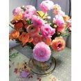 thumbnail image 4 of GSDWIUEW 8 Ranunculus Bulbs for Planting, Pastel Mixed Persian Buttercup Bulbs Mix Color Ranunculus Asiaticus Corms Perennial Flower Bulbs for Garden, 4 of 7