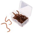 thumbnail image 2 of 20Pcs/ Clam Worms Artificial Grubs Special Smell, 2 of 7