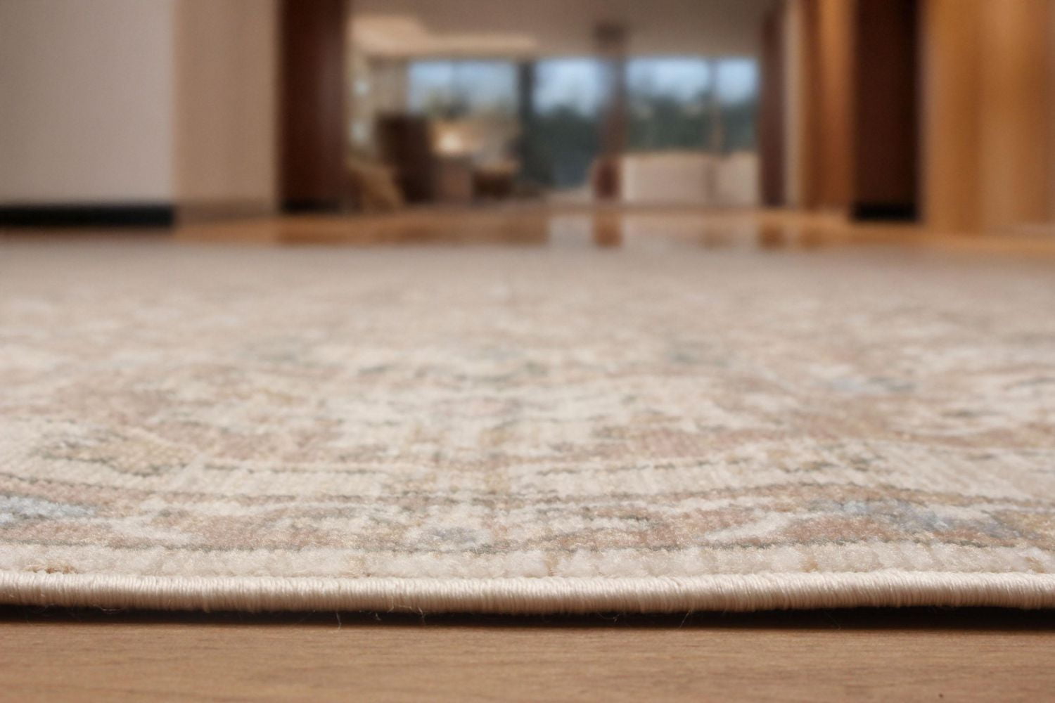 ECARPET Arden Traditional Area Rug for Living Room, Bedroom, Dining Entrance