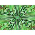 thumbnail image 1 of Ahgly Company Tapis d'Aire Rectangulaire Transitionnel Vert pour Intérieur, Lavable à la Machine, 2 Pieds x 4 Pieds, 1 of 7